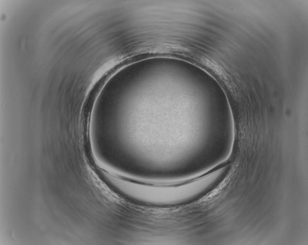 X0000086891122200704231121