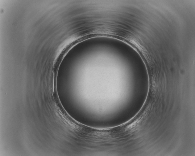 X0000086891123200704231121