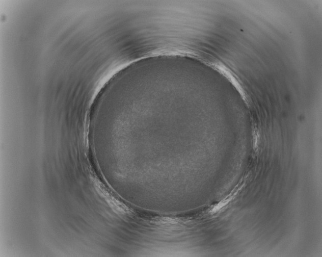 X0000086891124200704231121