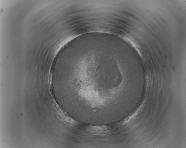 X0000086891125200704231121