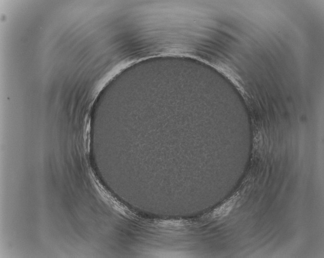 X0000086891126200704231121