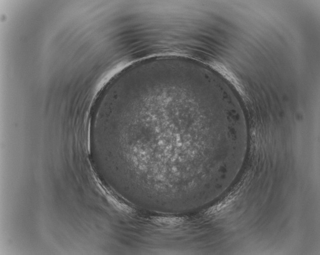 X0000086891127200704231121