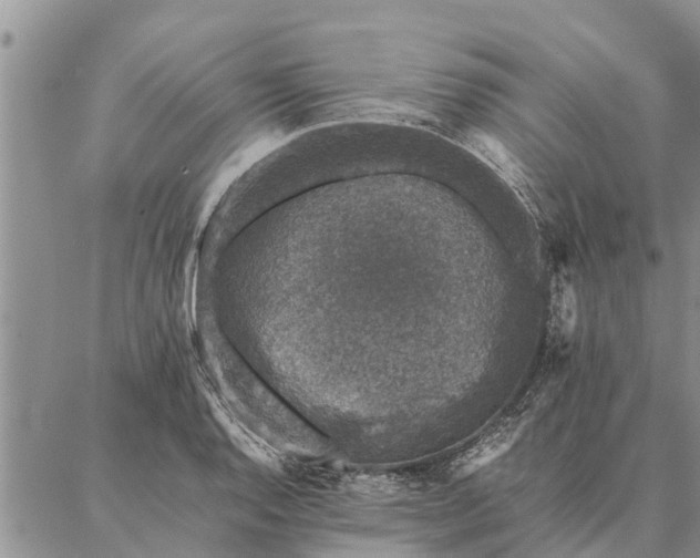 X0000086891128200704231121