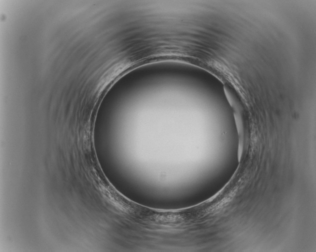 X0000086891129200704231121