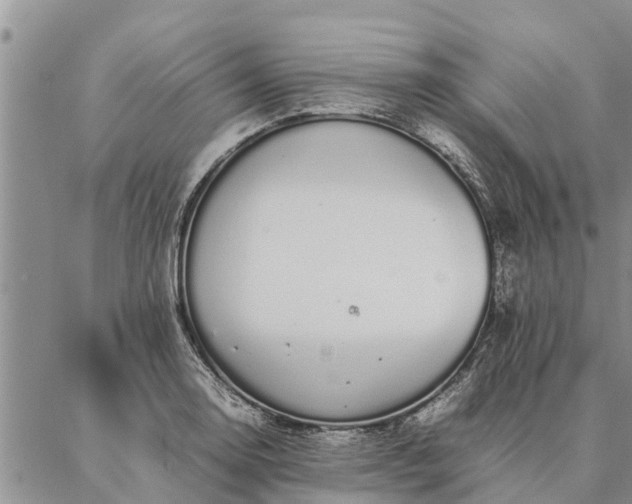 X0000086891130200704231121