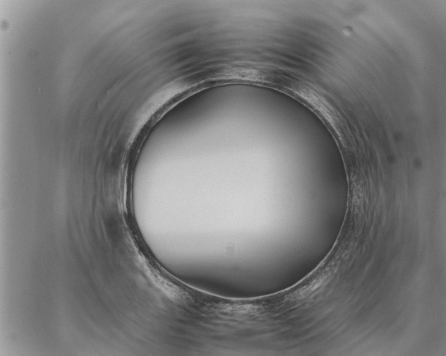 X0000086891131200704231121