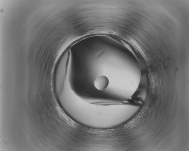 X0000086891132200704231121