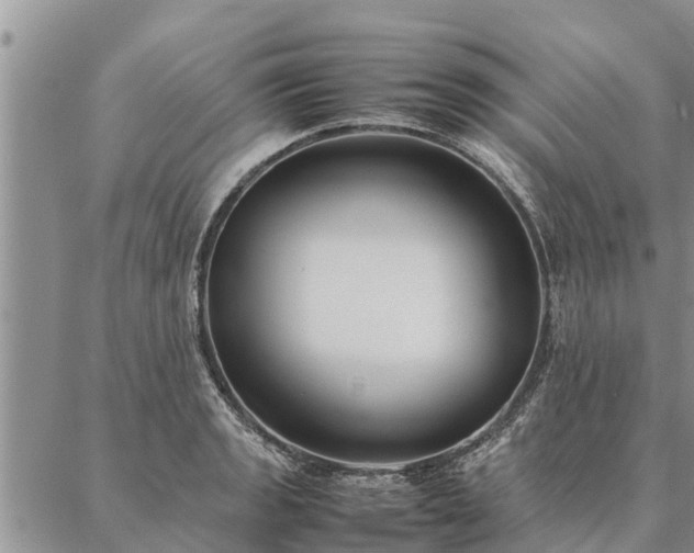 X0000086891133200704231121