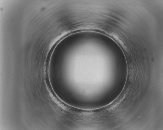 X0000086891134200704231121