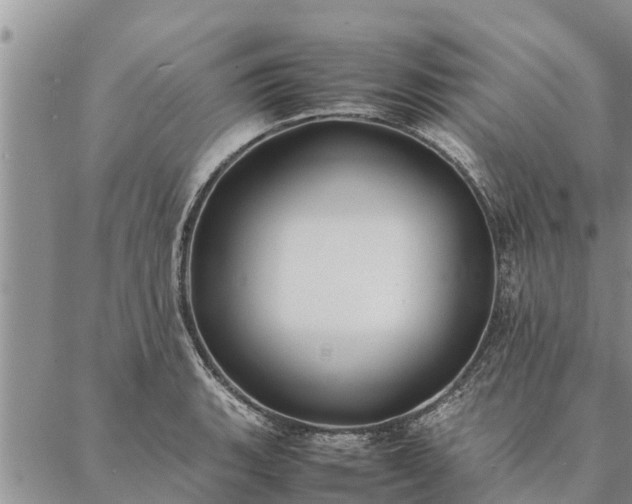 X0000086891135200704231121