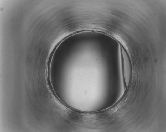 X0000086891136200704231121