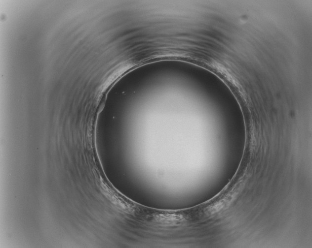 X0000086891137200704231121