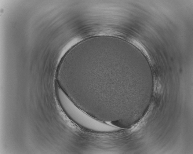 X0000086891138200704231121