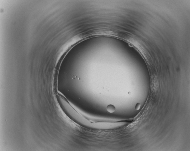 X0000086891139200704231121