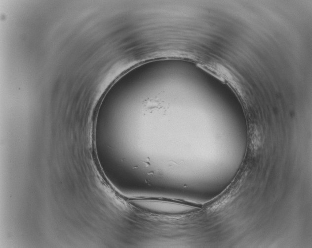 X0000086891140200704231121