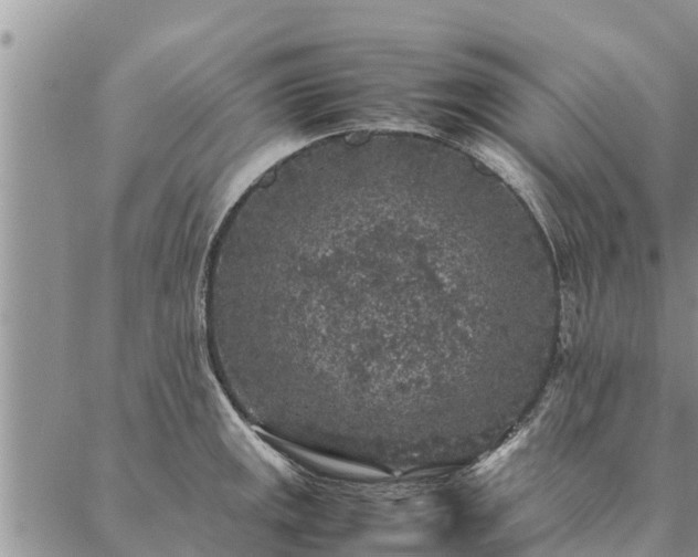 X0000086891141200704231121