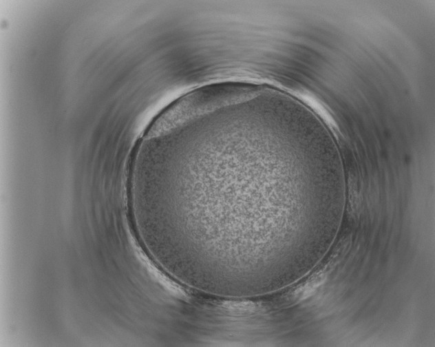 X0000086891142200704231121