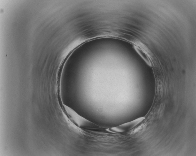 X0000086891143200704231121