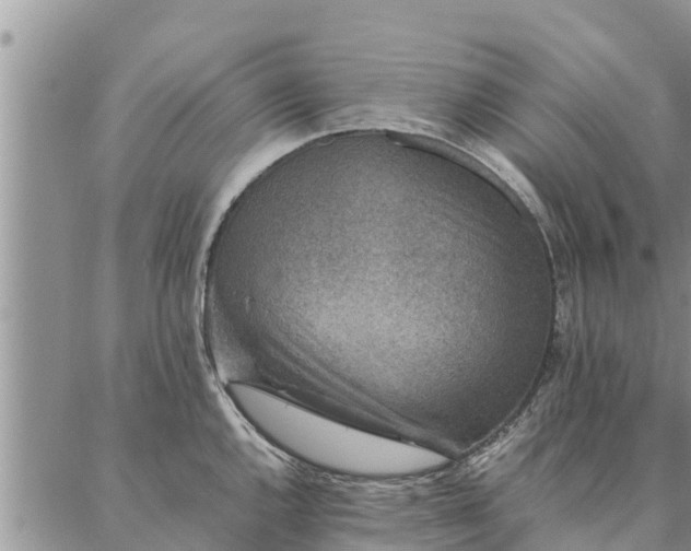 X0000086891144200704231121