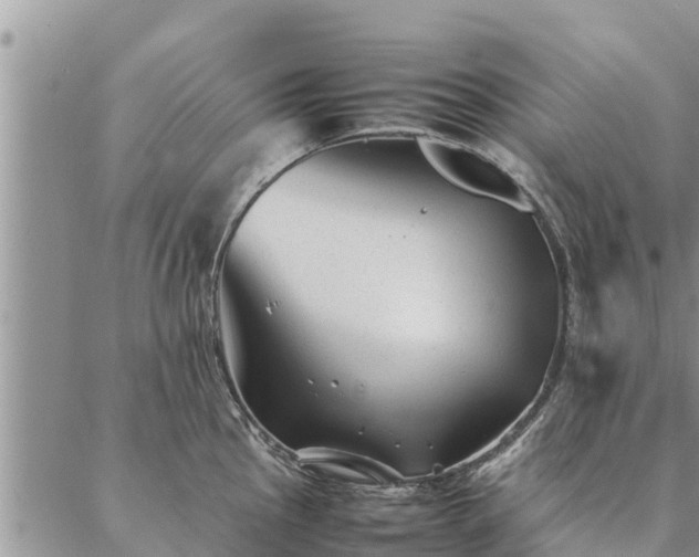 X0000086891145200704231121