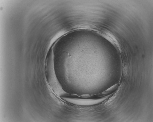 X0000086891146200704231121