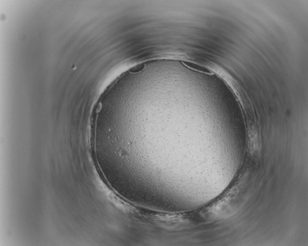 X0000086891147200704231121