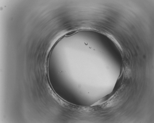 X0000086891148200704231121