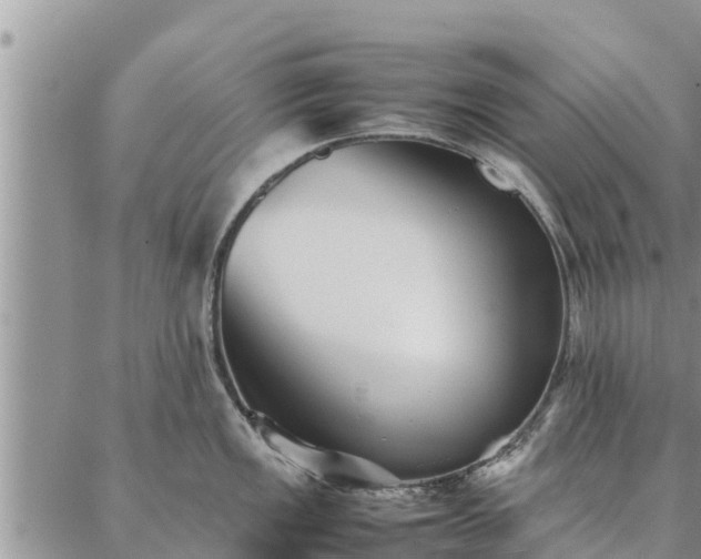 X0000086891149200704231122