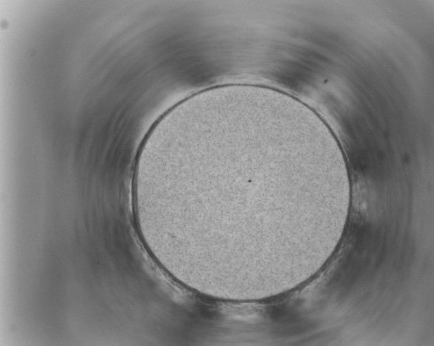 X0000086891150200704231122