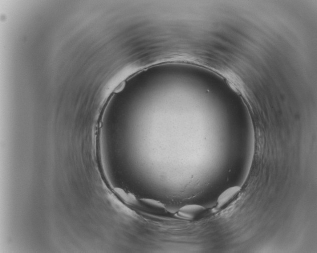 X0000086891151200704231122