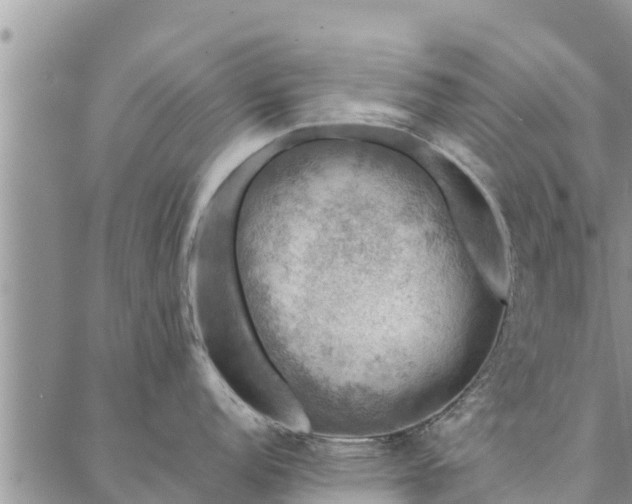 X0000086891152200704231122