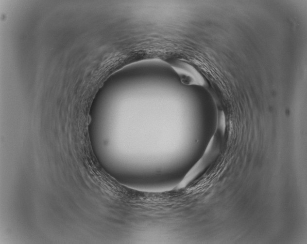 X0000086891153200704231121