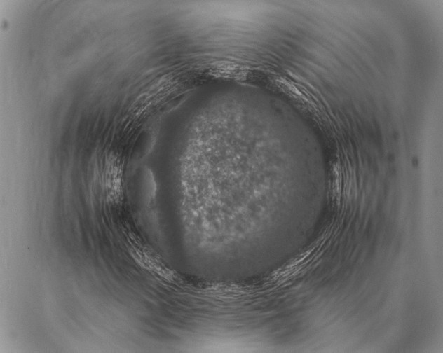 X0000086891154200704231121