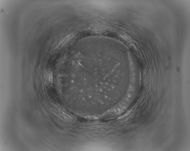 X0000086891155200704231121