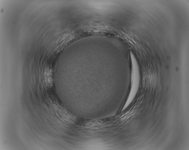 X0000086891156200704231121