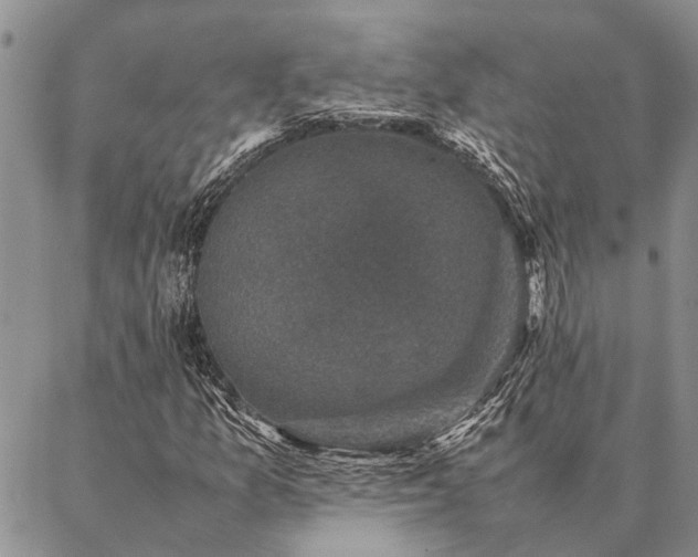 X0000086891157200704231121