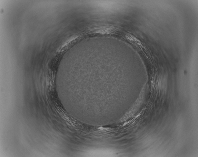 X0000086891158200704231121