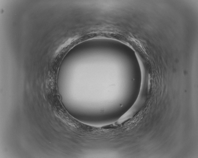 X0000086891159200704231121