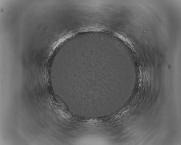 X0000086891160200704231121