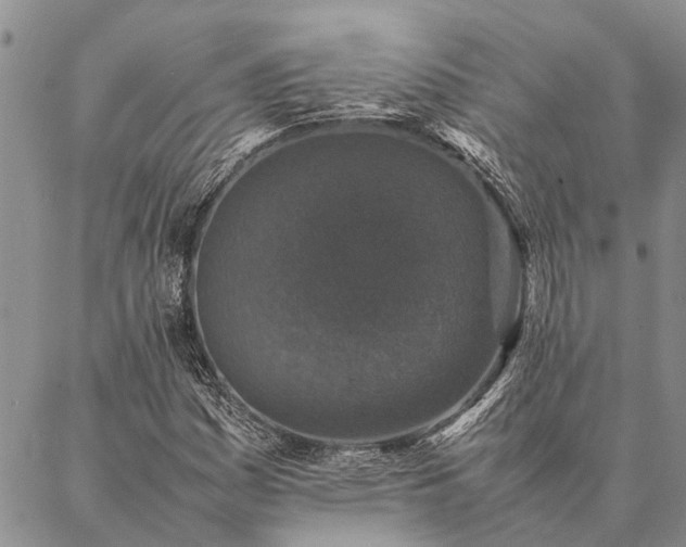 X0000086891161200704231121