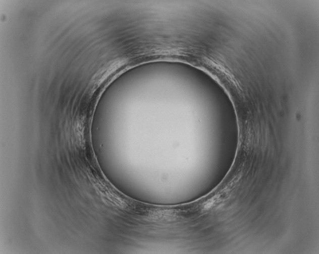 X0000086891162200704231121