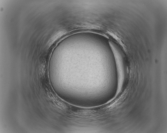 X0000086891163200704231121