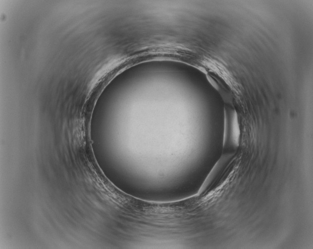 X0000086891164200704231121