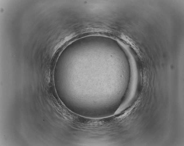 X0000086891165200704231121