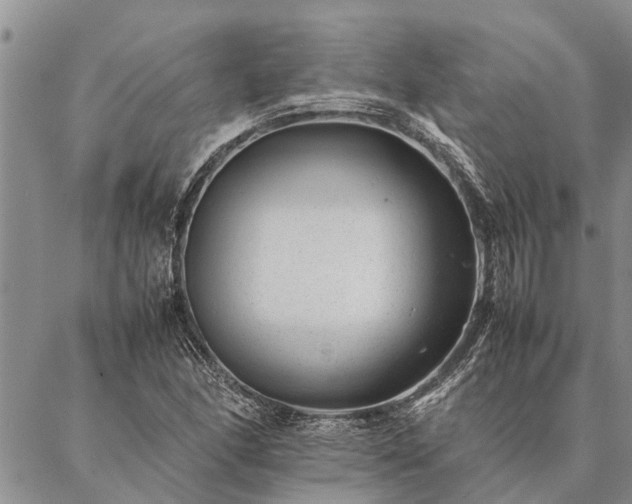 X0000086891166200704231121