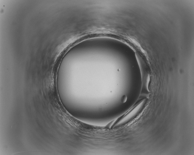 X0000086891167200704231121