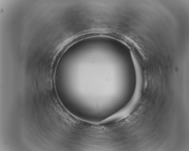 X0000086891168200704231121