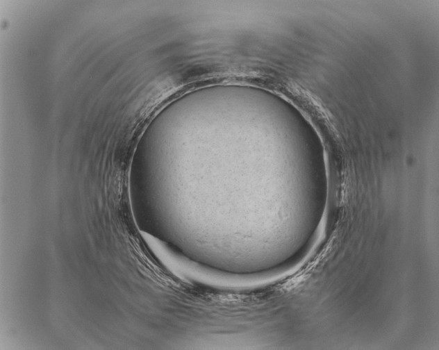 X0000086891169200704231121