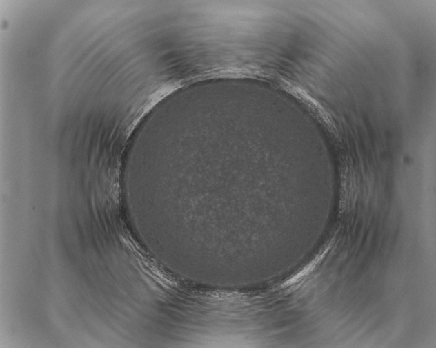 X0000086891170200704231120