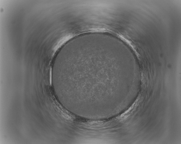 X0000086891171200704231120